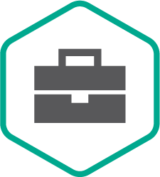 Kaspersky Premium Support